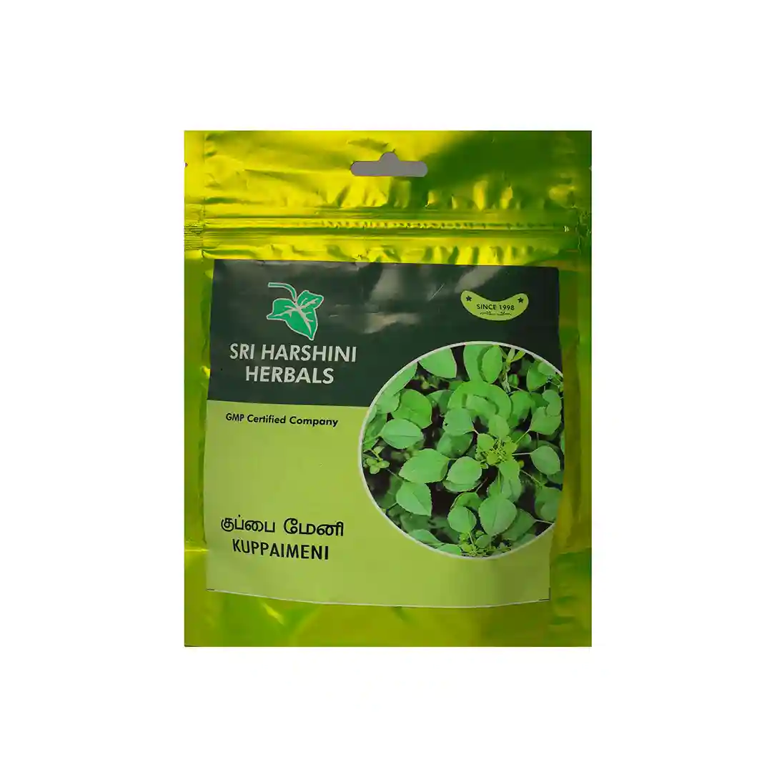 Kuppaimeni Ilai Podi – குப்பைமேனி இலைப் பொடி