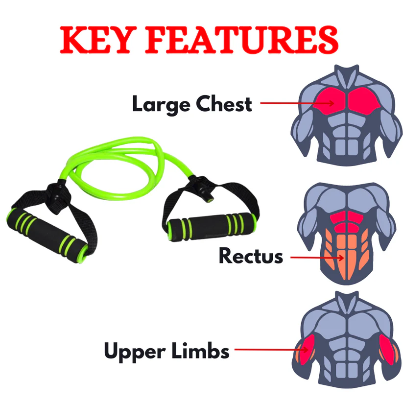 Chest Expander for Exercise & Fitness in India
