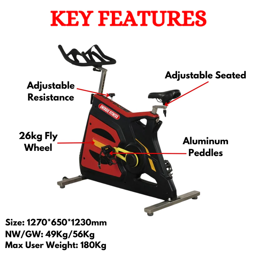 Best Exercise Spinning Bikes FB-5930