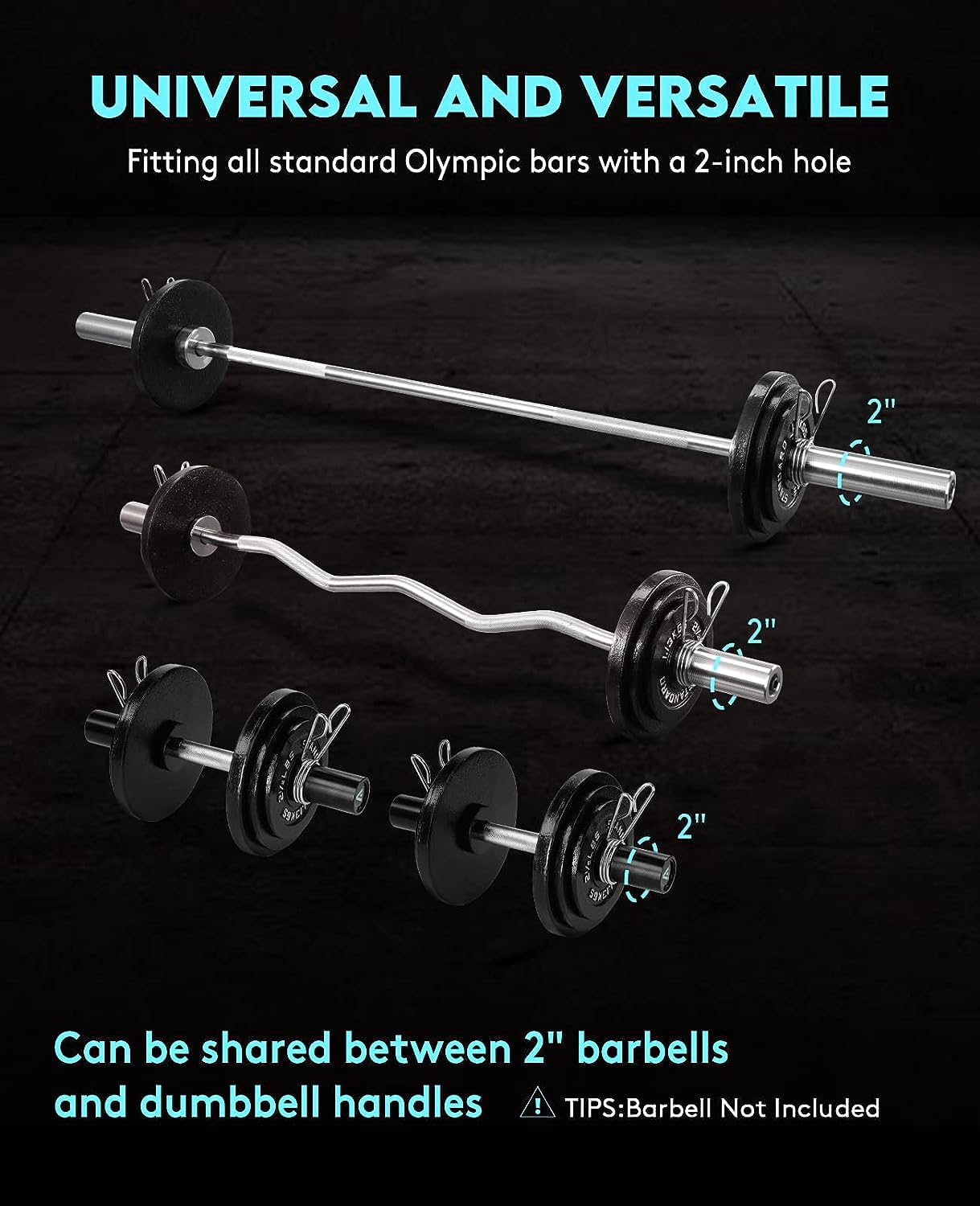 Cast Iron Olympic Weight Plates