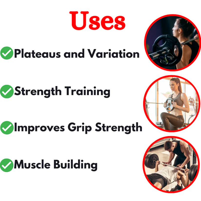 Olympic Bumper Plates