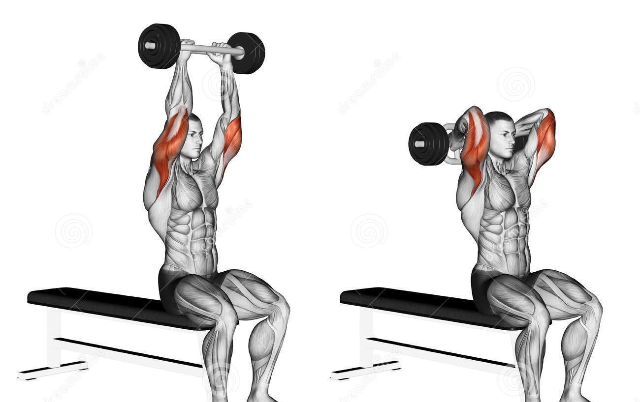 Oval Rod for Bicep and tricep Extension egg rod