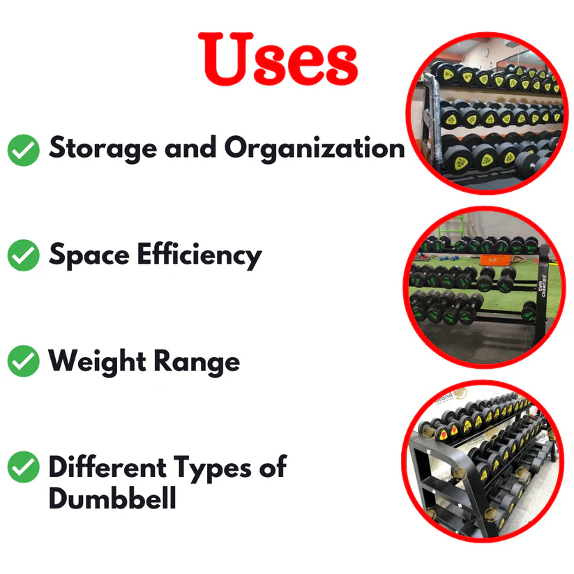 Beauty Dumbbell Rack in India ER-967
