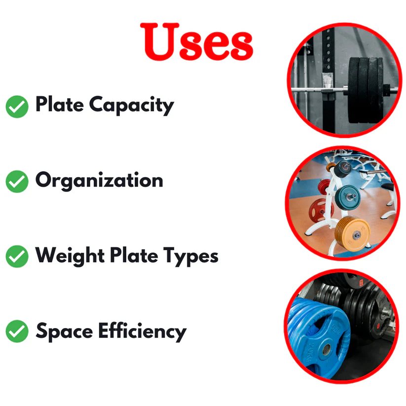 India's Best Vertical Plate Tree ER-954