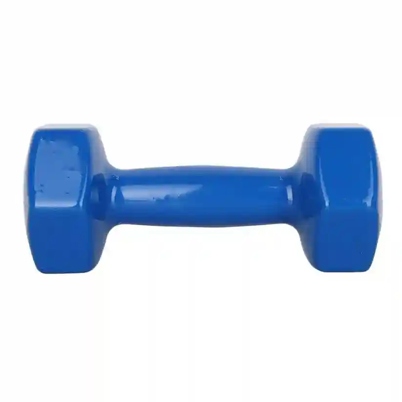 Best Vinly Coated Dumbbells in India