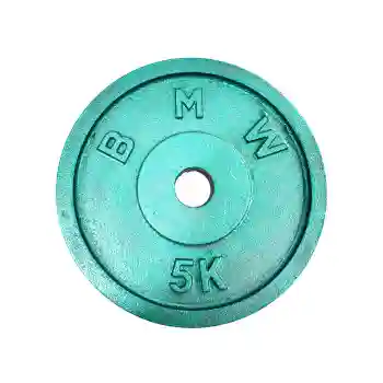 Cast Iron Gym Weight Plates (28mm /50mm)