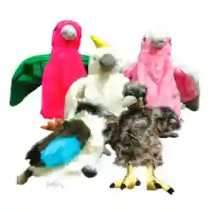 Toys birds puppet-LFP 9