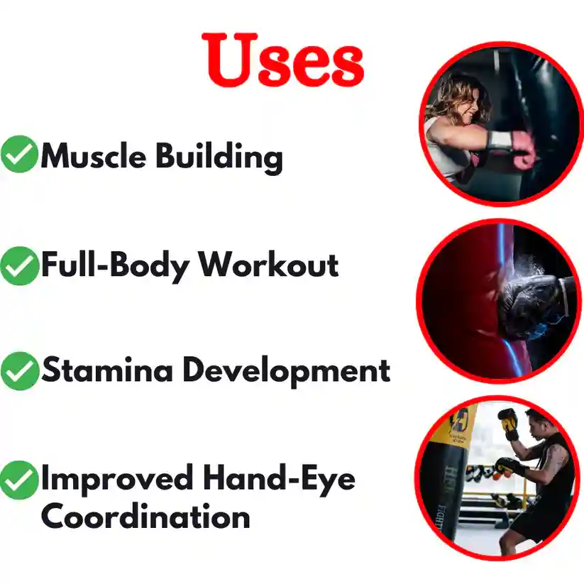 Best Quality Standing Boxing Punching Bag