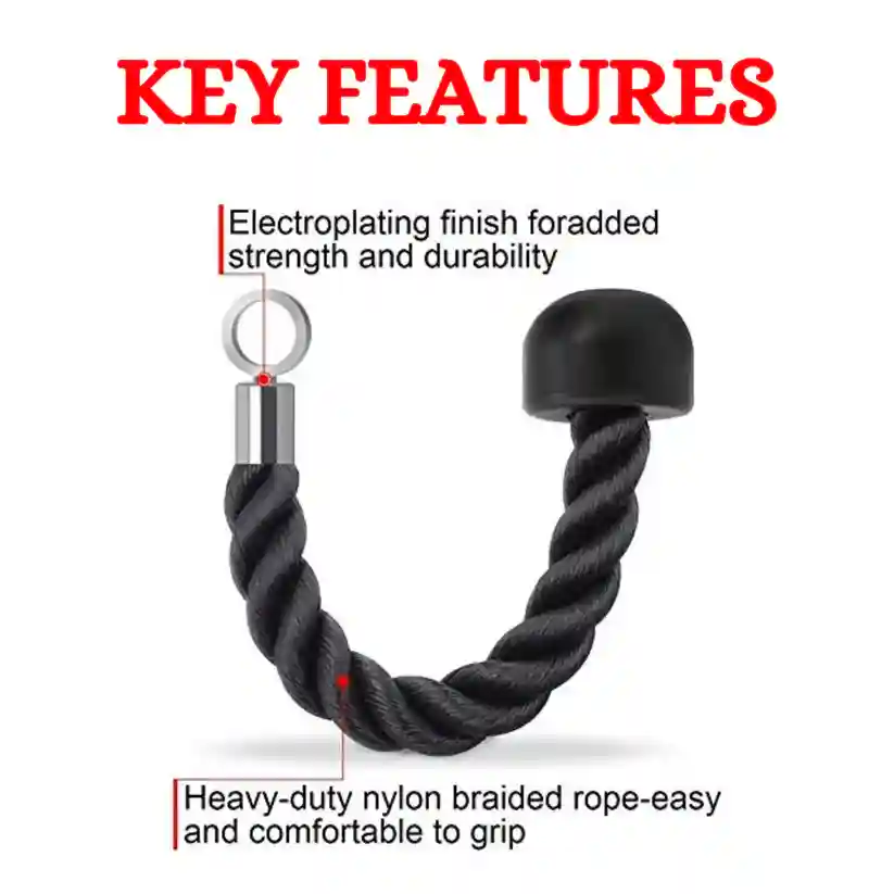 Single Handle Tricep Rope
