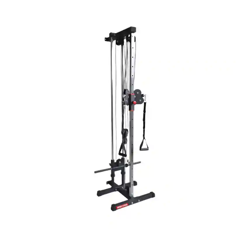 Best Wall Mounted Dual Cable Pulley Home Gym EHG-11G