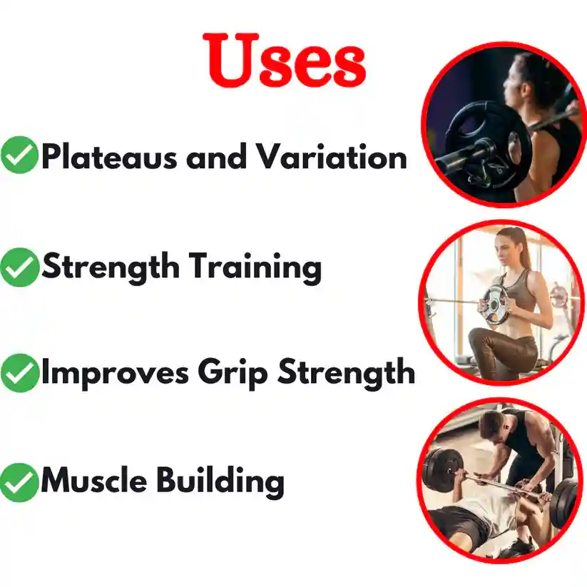 Olympic Bumper Plates