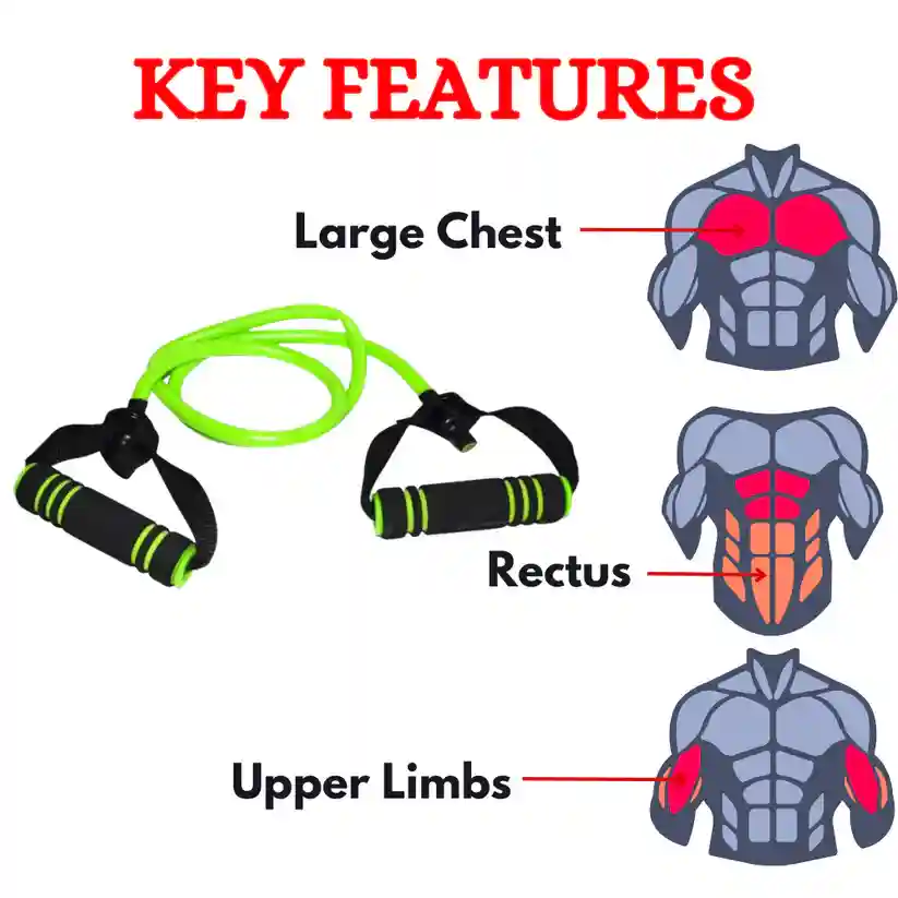 Chest Expander for Exercise & Fitness in India
