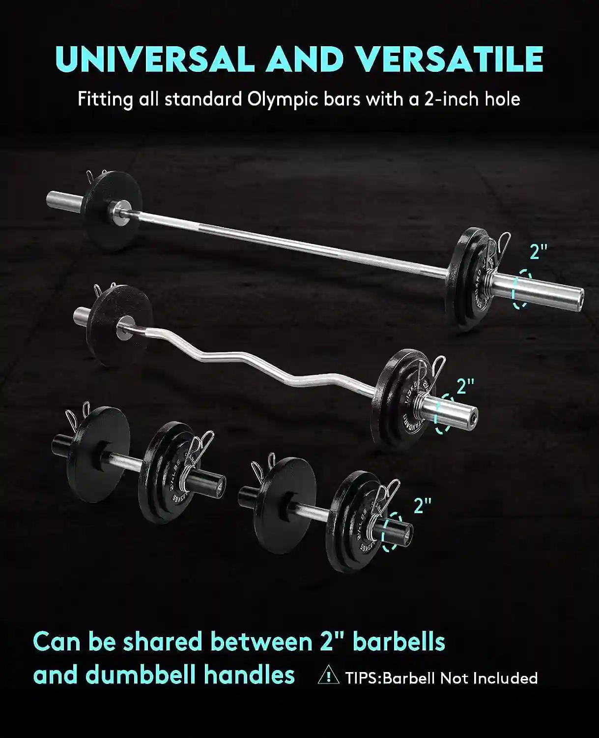 Cast Iron Olympic Weight Plates
