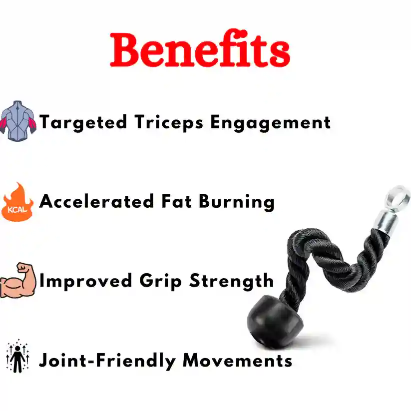 Single Handle Tricep Rope