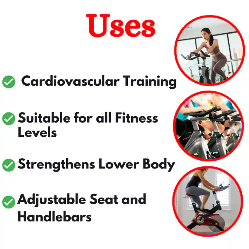 Best Exercise Spinning Bikes FB-5930