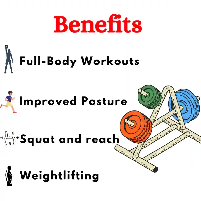 Olympic Bumper Plates