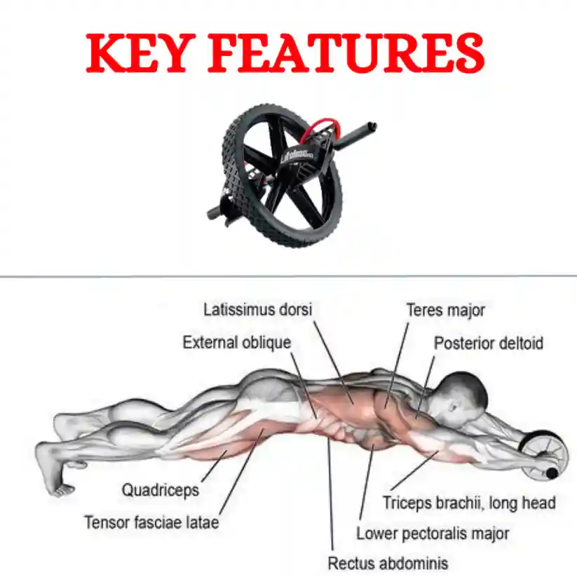 Fitness Power Wheel