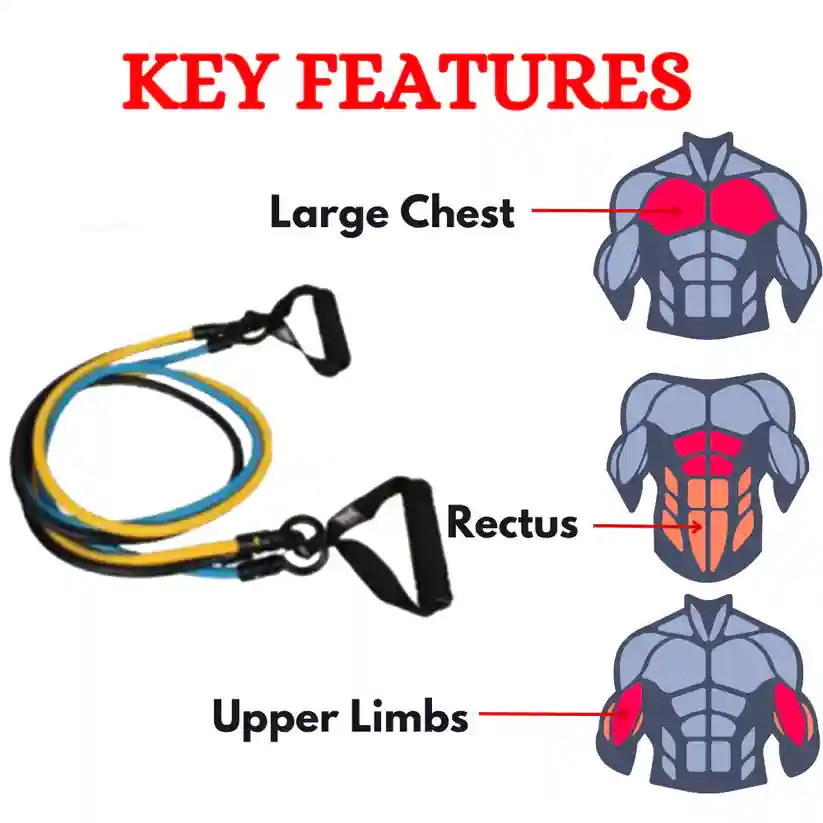 Best Quality 3 in 1 Exercise