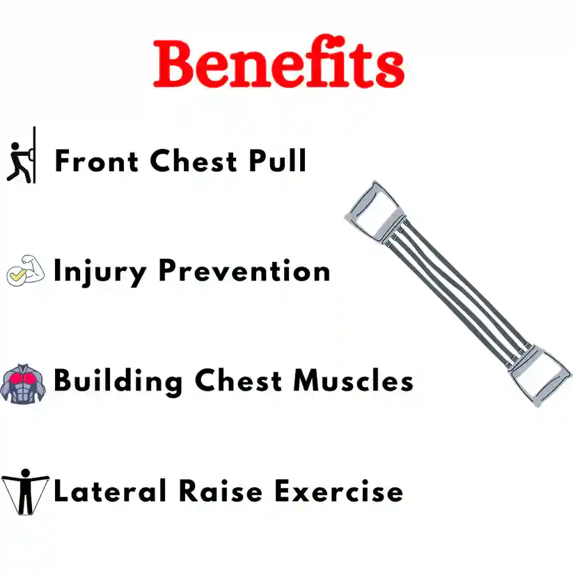 Chest Expander for Exercise & Fitness in India