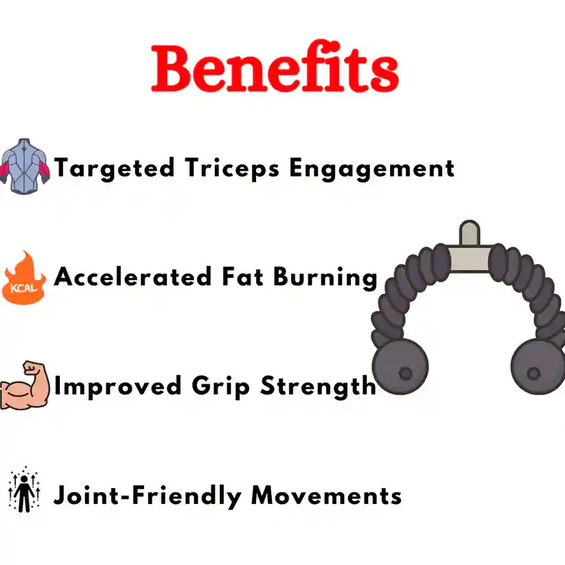 Best Tricep Rope