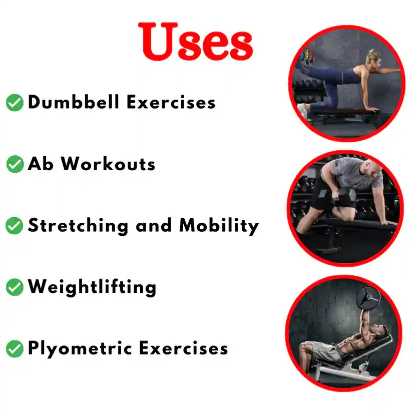 Best Home Gym with Adjustable Bench EHG-10G