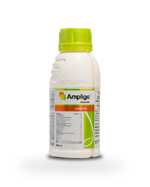 Buy Ampligo Insecticide - Buy Online