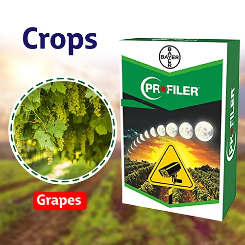 Bayer Profiler Fungicide | Buy Online
