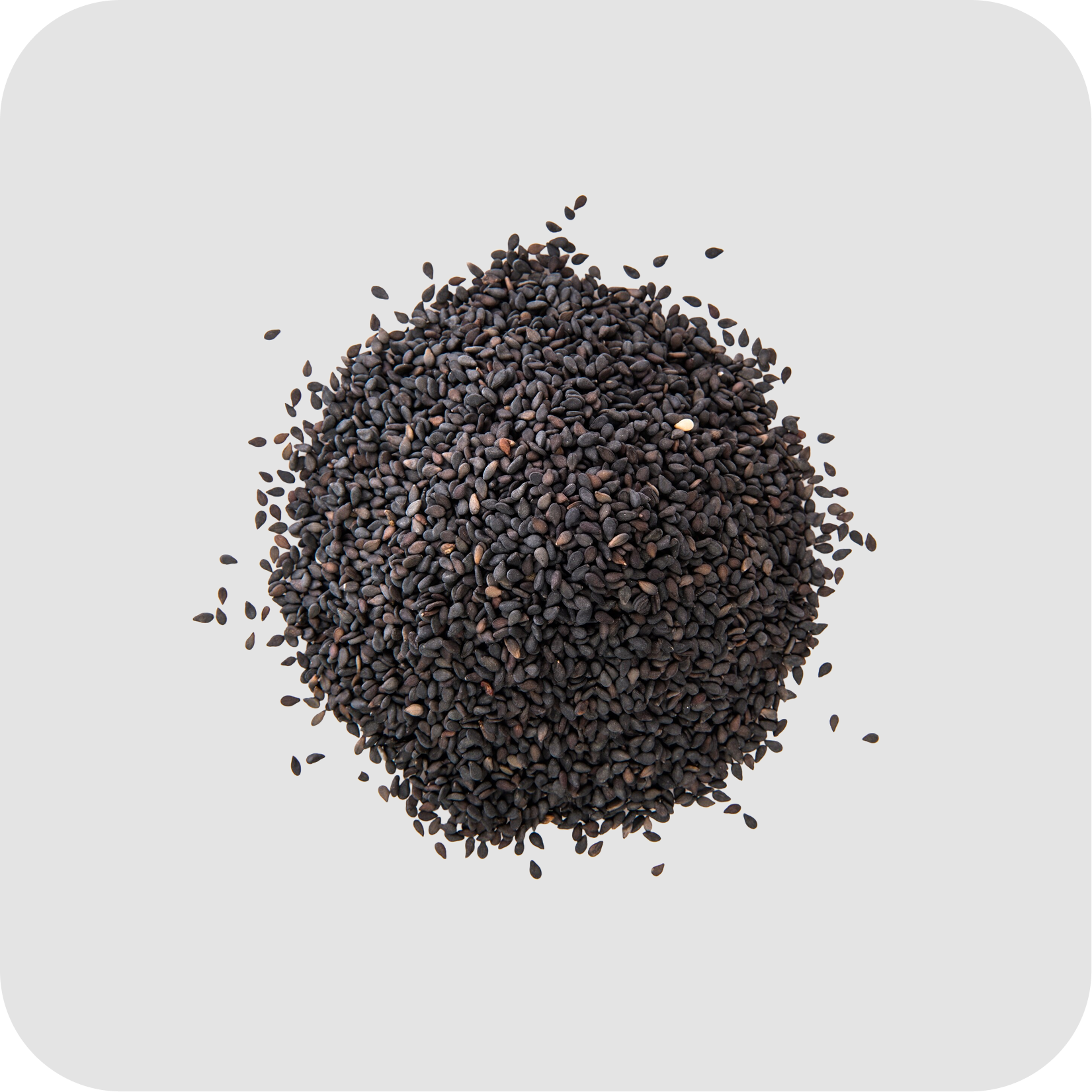 Healthy Seeds