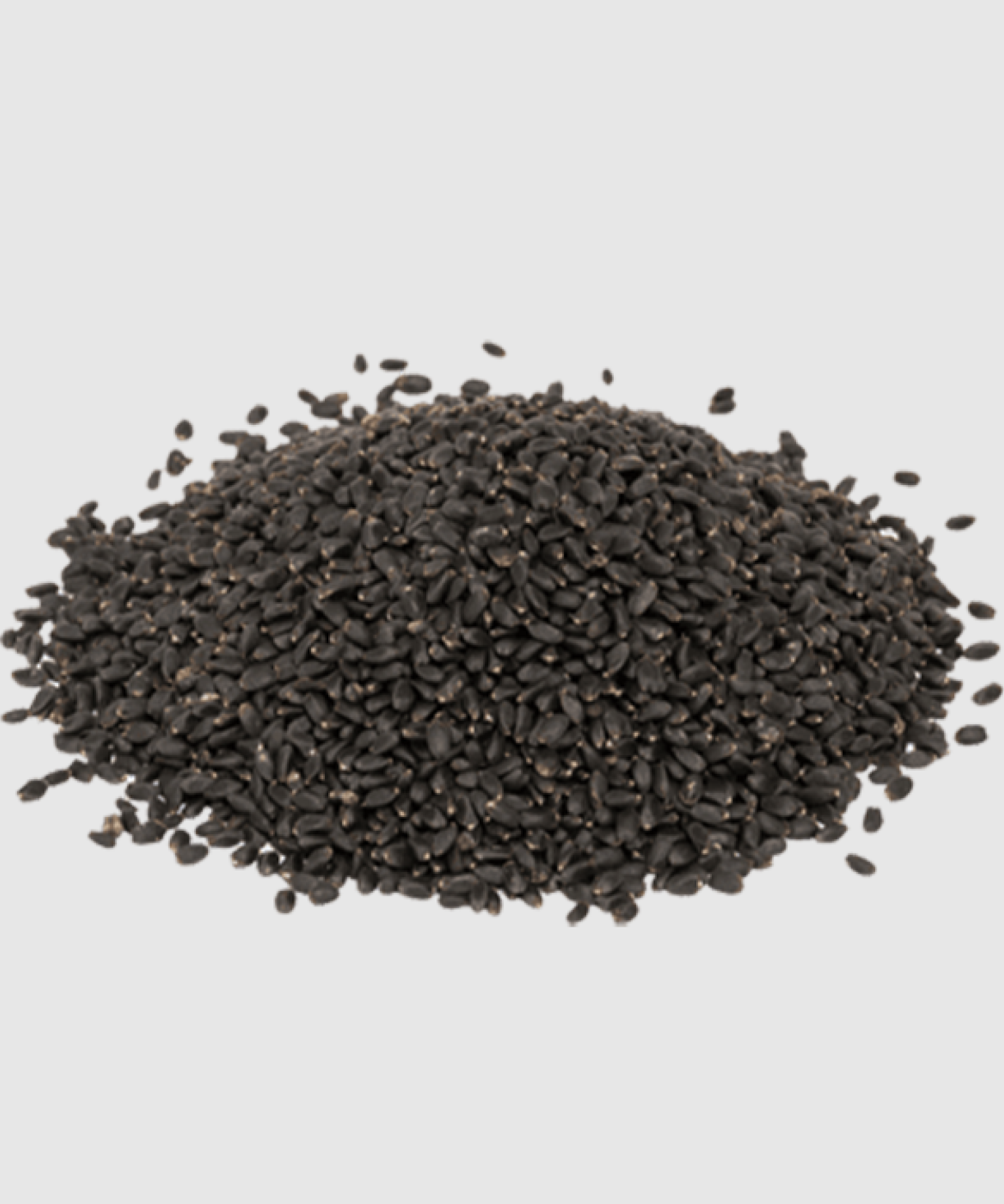 Sabja Seeds