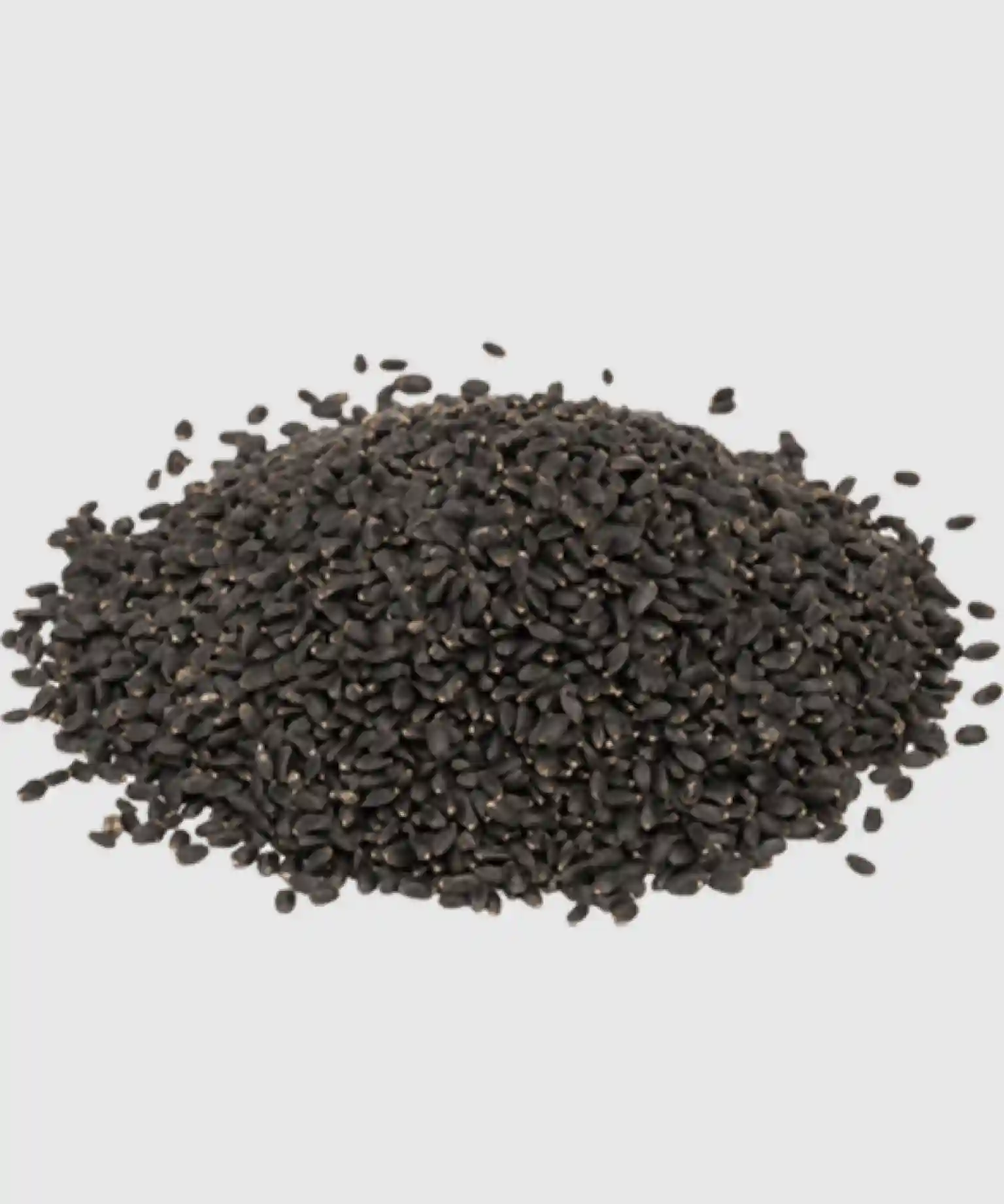 Sabja Seeds